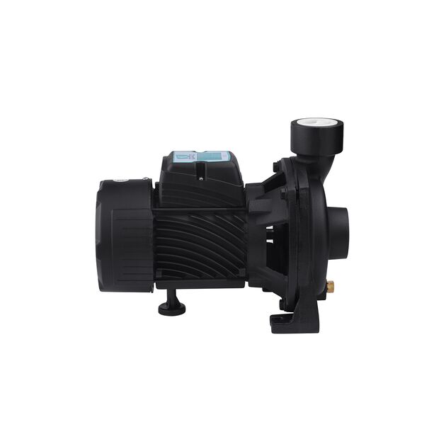 Насос поверхностный поливочный Pumpman TGA1A Нmax 18 м Qmax 16 куб.м 1 1/2"х1 1/2" 750 Вт, фото , зображення 3 | SNABZHENIE.com.ua