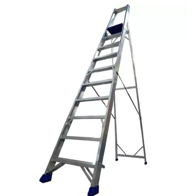 Стрем'янка професійна алюмінієва, 10 сходинок  3.2 (SREGI160), фото  | SNABZHENIE.com.ua