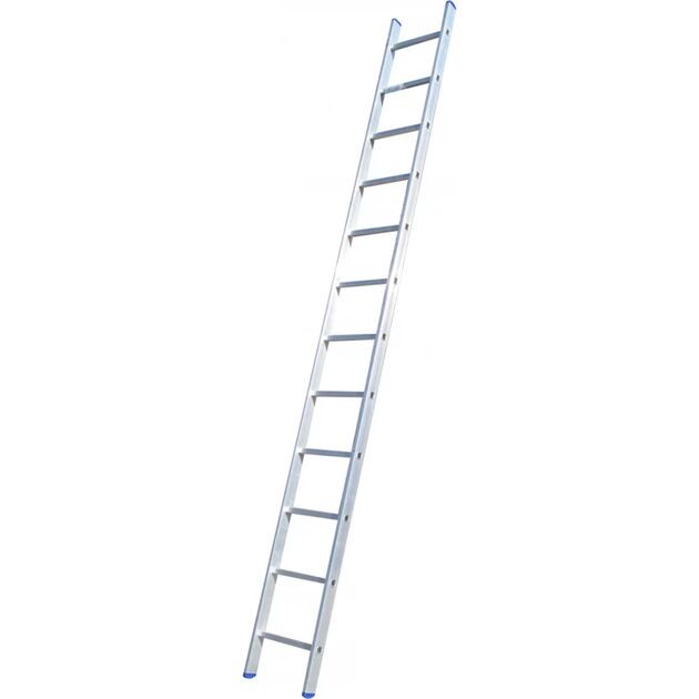 Драбина приставна  3.2 (VHR H 1*12), фото  | SNABZHENIE.com.ua