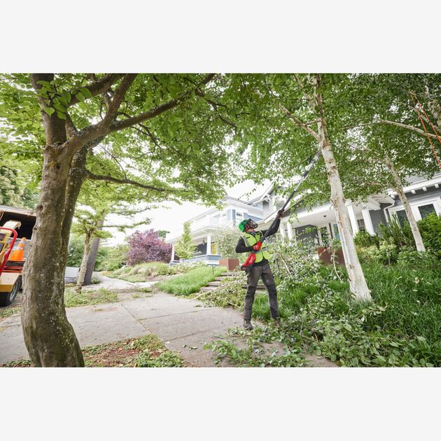 Milwaukee Высоторез телескопический аккумуляторный MILWAUKEE, M18 FTPS30-0, фото , изображение 6 | SNABZHENIE.com.ua