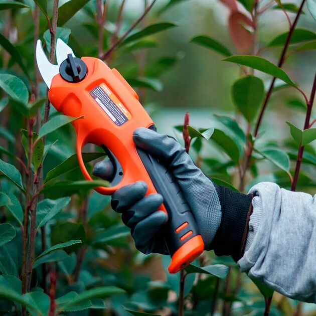 Секатор акумуляторний SEQUOIA SBP3610C, фото , зображення 4 | SNABZHENIE.com.ua