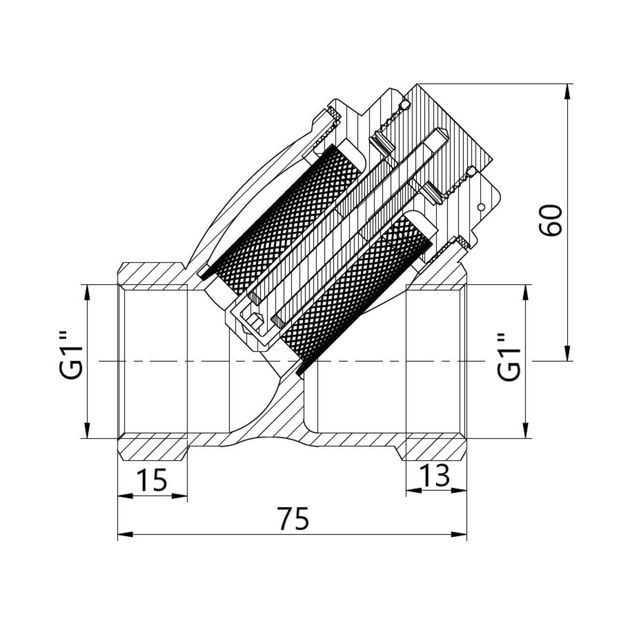 Фильтр грубой очистки Thermo Alliance Forte для воды 1"ВВ косой с магнитом TAF126MW25, фото , изображение 2 | SNABZHENIE.com.ua