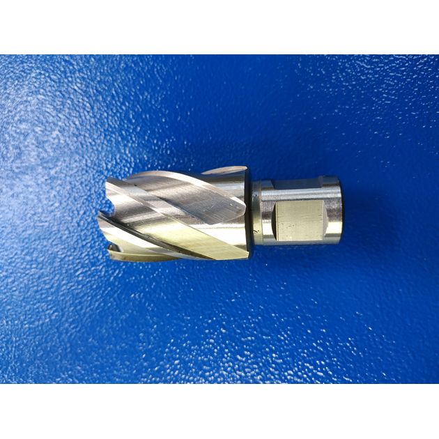 Фреза кольцевая HSS Co 27x30 мм Weldon 19 PROFITOOL (412730M42), фото , изображение 4 | SNABZHENIE.com.ua Фреза кольцевая HSS Co 27x30 мм Weldon 19 PROFITOOL (412730M42), фото , изображение 4 | SNABZHENIE.com.ua