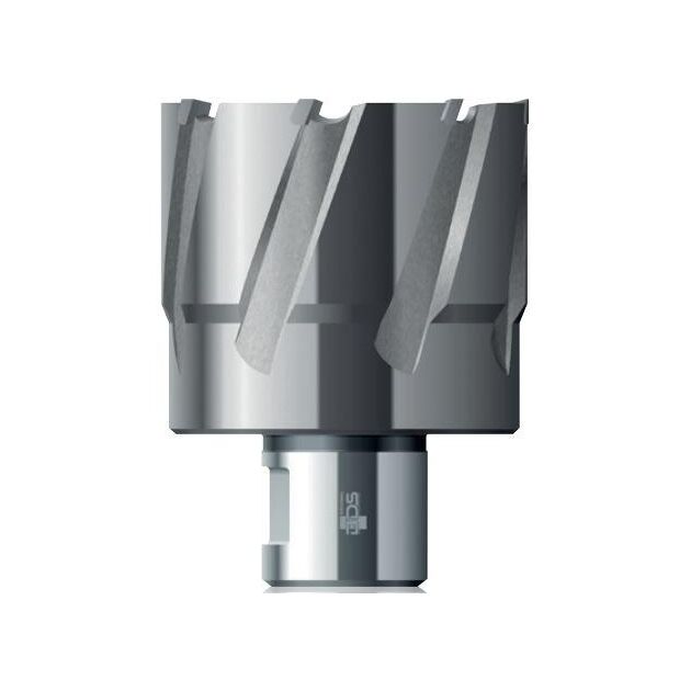 Твердосплавное корончатое сверло 66x55 мм Carbide ТСТ (HM) Weldon32 BDS Maschinen HKL 066, фото , изображение 2 | SNABZHENIE.com.ua