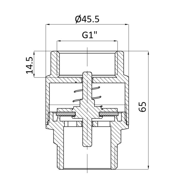 Обратний клапан Thermo Alliance Standart 1"ВН с латунным штоком TAS248W25, фото , изображение 2 | SNABZHENIE.com.ua