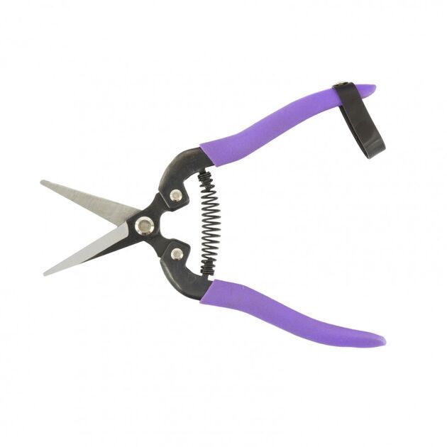 Секатор квітковий, 180 мм, пружина спірального типу, тефлонове покриття, прямі ріжучі губки PALISAD (605548P), фото , зображення 3 | SNABZHENIE.com.ua