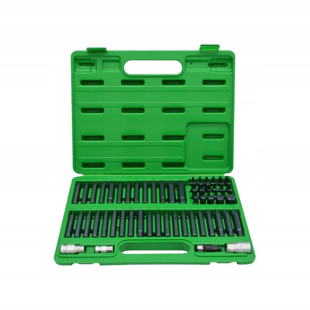 Професійний набір біт TORX, HEX, SPLINE, RIBE, SQ 60 од. TOPTUL GCAI6003, фото  | SNABZHENIE.com.ua