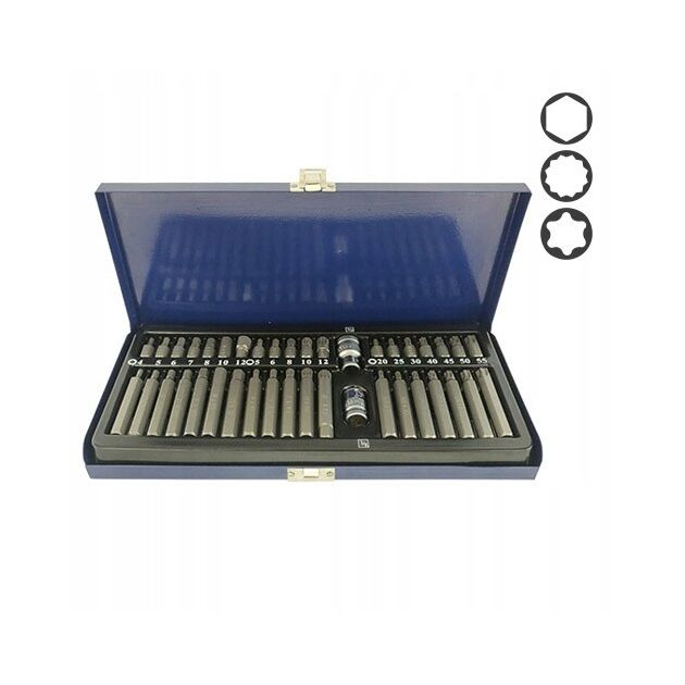 Набор бит 10мм HEX, TORX, SPLINE, 40 ед. СТАНДАРТ SDBS0040, фото  | SNABZHENIE.com.ua