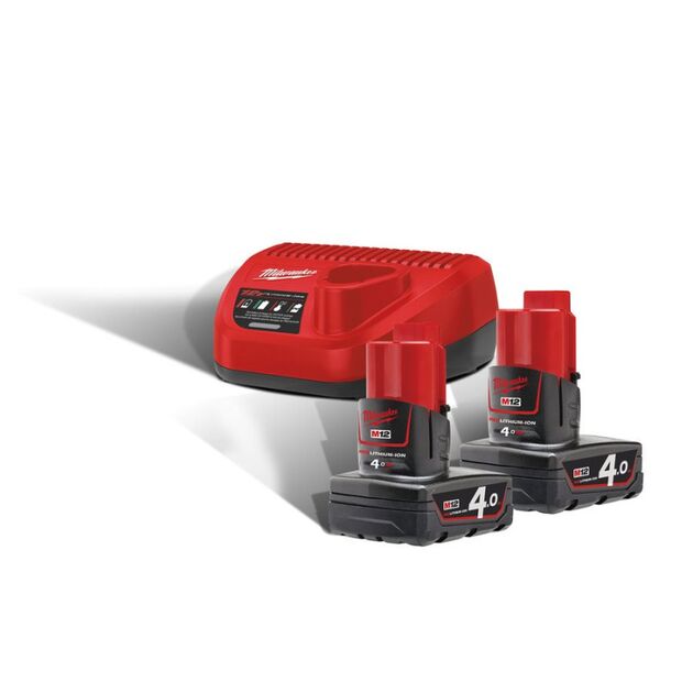 Енергокомплект M12 NRG-402 (B4 2шт + З/У С12С) 4933459211, фото , зображення 2 | SNABZHENIE.com.ua