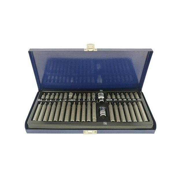 Набор бит 10мм HEX, TORX, SPLINE, 40 ед. СТАНДАРТ SDBS0040, фото  | SNABZHENIE.com.ua