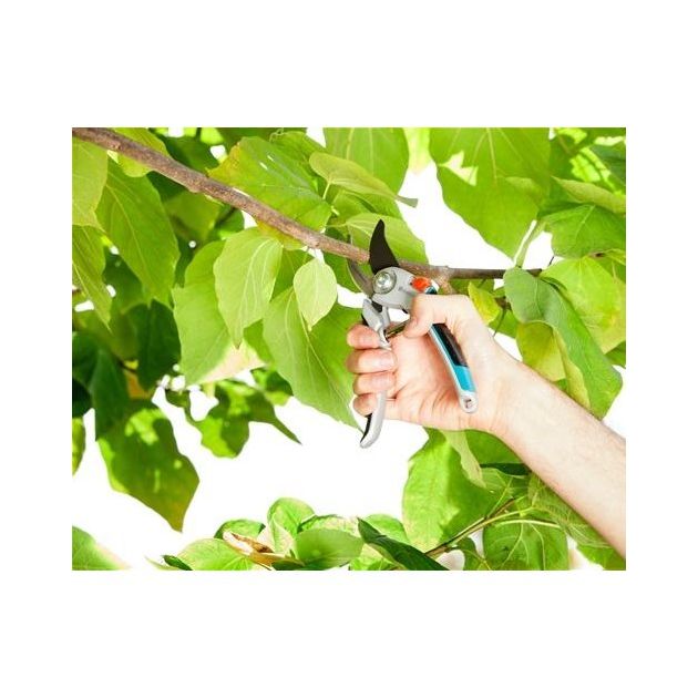 Секатор Gardena Comfort B/L 8906, фото , изображение 6 | SNABZHENIE.com.ua Секатор Gardena Comfort B/L 8906, фото , изображение 6 | SNABZHENIE.com.ua