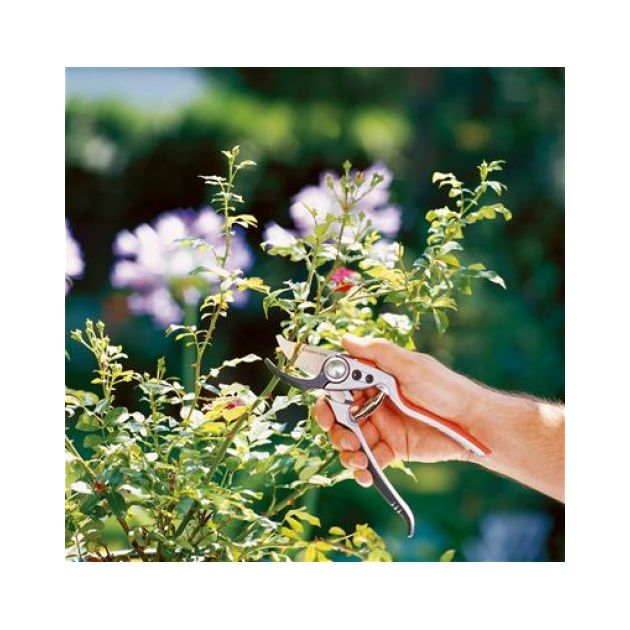 Секатор Gardena BP 50 Premium, фото , изображение 10 | SNABZHENIE.com.ua Секатор Gardena BP 50 Premium, фото , изображение 10 | SNABZHENIE.com.ua