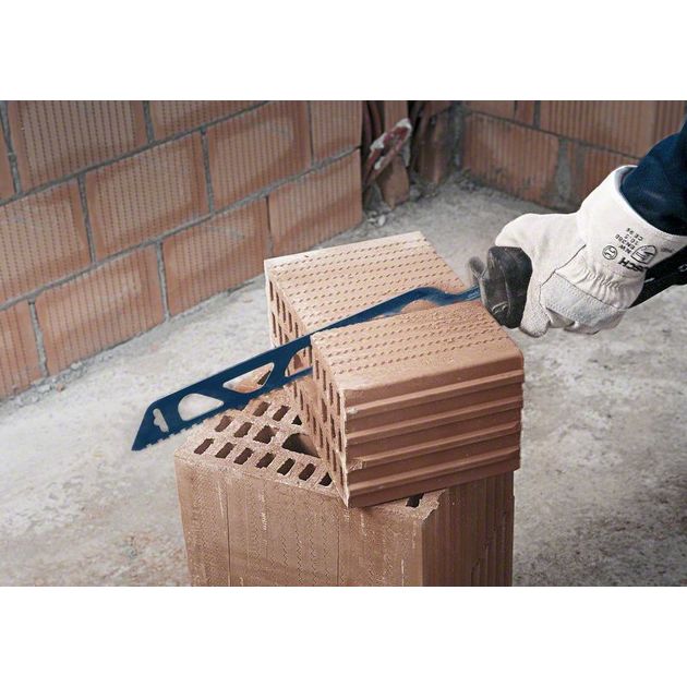Полотно EXPERT 'Hollow Brick' S 1243 HM, 1 шт. BOSCH, фото , изображение 11 | SNABZHENIE.com.ua Полотно EXPERT 'Hollow Brick' S 1243 HM, 1 шт. BOSCH, фото , изображение 11 | SNABZHENIE.com.ua