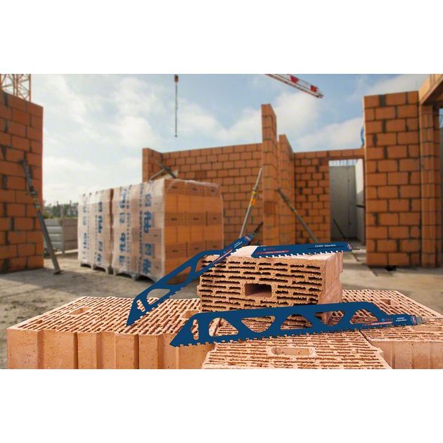 Полотно EXPERT 'Hollow Brick' S 1243 HM, 1 шт. BOSCH, фото , изображение 13 | SNABZHENIE.com.ua Полотно EXPERT 'Hollow Brick' S 1243 HM, 1 шт. BOSCH, фото , изображение 13 | SNABZHENIE.com.ua