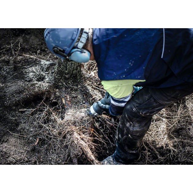 Полотно для пиляння EXPERT Tough Wood S 1142 KHM, 3 шт. BOSCH, фото , изображение 8 | SNABZHENIE.com.ua Полотно для пиляння EXPERT Tough Wood S 1142 KHM, 3 шт. BOSCH, фото , изображение 8 | SNABZHENIE.com.ua