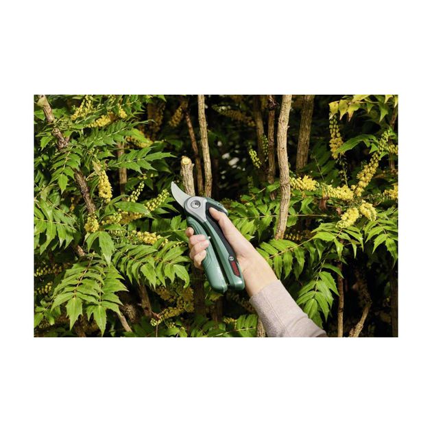 Аккумуляторные садовые ножницы BOSCH EasyPrune (06008B2000), фото , изображение 3 | SNABZHENIE.com.ua Аккумуляторные садовые ножницы BOSCH EasyPrune (06008B2000), фото , изображение 3 | SNABZHENIE.com.ua
