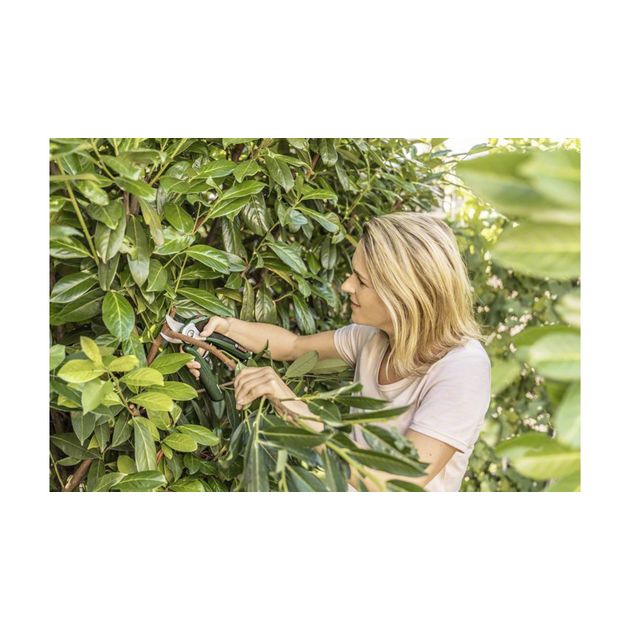 Аккумуляторные садовые ножницы BOSCH EasyPrune (06008B2000), фото , изображение 4 | SNABZHENIE.com.ua Аккумуляторные садовые ножницы BOSCH EasyPrune (06008B2000), фото , изображение 4 | SNABZHENIE.com.ua