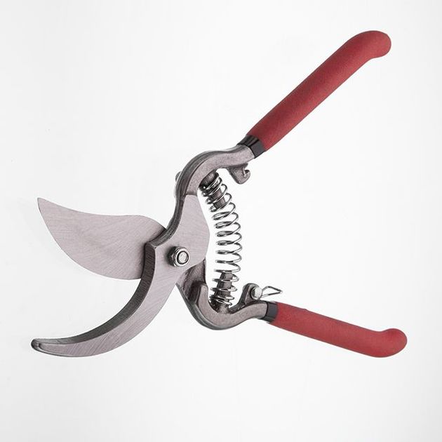 Секатор INTERTOOL FT-1004, 250 мм, фото , изображение 2 | SNABZHENIE.com.ua Секатор INTERTOOL FT-1004, 250 мм, фото , изображение 2 | SNABZHENIE.com.ua