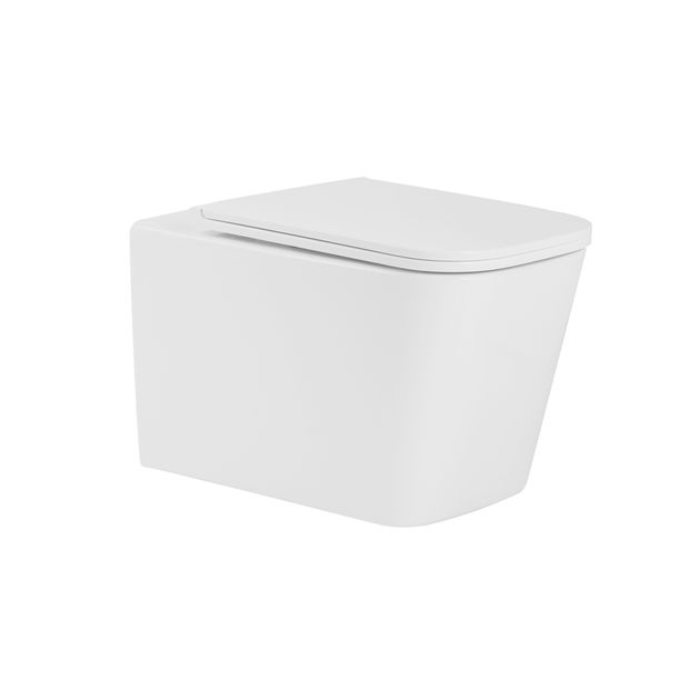 Унитаз напольный Qtap Tern Ultra Quiet безободковый Soft-close WHITE, фото  | SNABZHENIE.com.ua