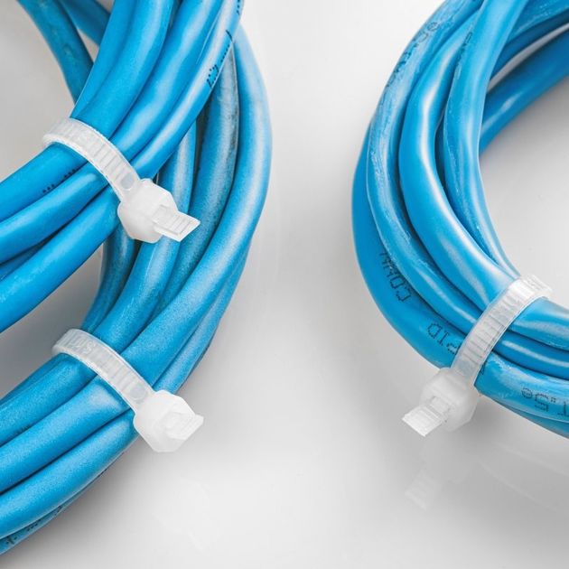 Стяжки нейлонові 2,5 x 100 мм, 100 шт., білі HOEGERT HT2C717, фото , зображення 2 | SNABZHENIE.com.ua Стяжки нейлонові 2,5 x 100 мм, 100 шт., білі HOEGERT HT2C717, фото , зображення 2 | SNABZHENIE.com.ua