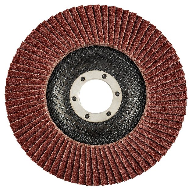 Пелюсткові круги K60 125x22.2 мм, 55H988 – для шліфування, фото  | SNABZHENIE.com.ua