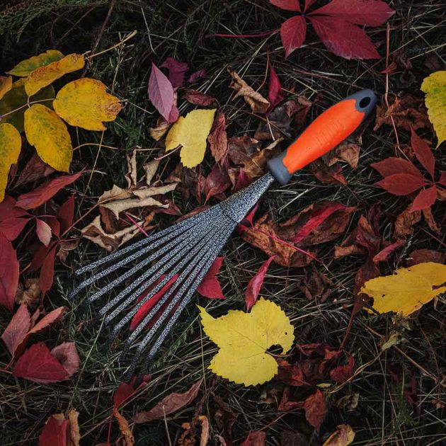 Грабли веерные FLORA (ABS+TPR) 5041954, фото , изображение 4 | SNABZHENIE.com.ua Грабли веерные FLORA (ABS+TPR) 5041954, фото , изображение 4 | SNABZHENIE.com.ua
