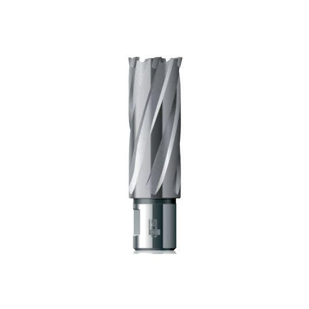 Твердосплавное корончатое сверло 29x55 мм Carbide ТСТ (HM) Weldon19 BDS Maschinen HKL 029, фото , изображение 2 | SNABZHENIE.com.ua Твердосплавное корончатое сверло 29x55 мм Carbide ТСТ (HM) Weldon19 BDS Maschinen HKL 029, фото , изображение 2 | SNABZHENIE.com.ua