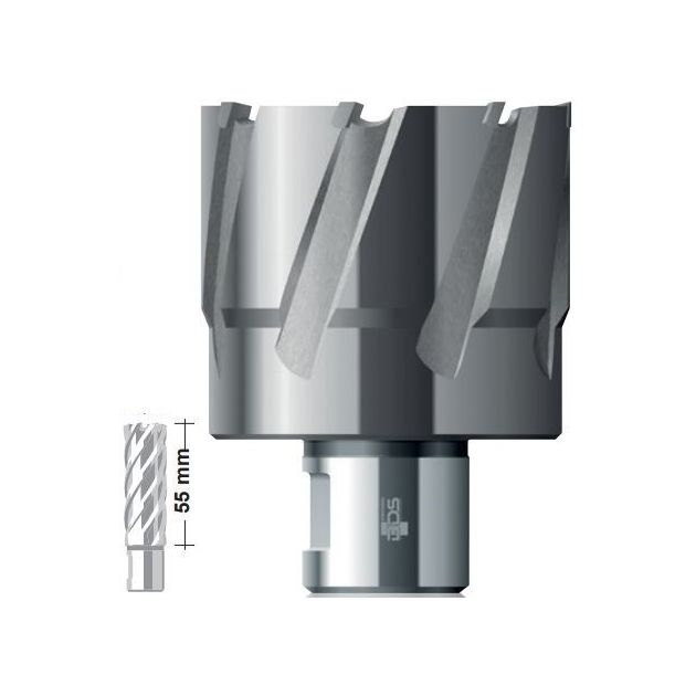 Твердосплавное корончатое сверло 73x55 мм Carbide ТСТ (HM) Weldon32 BDS Maschinen HKL 073, фото  | SNABZHENIE.com.ua