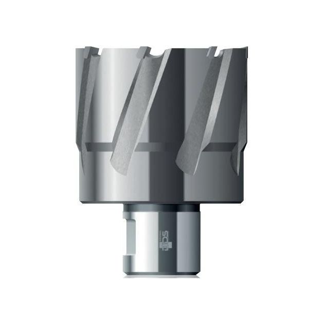 Твердосплавное корончатое сверло 89x55 мм Carbide ТСТ (HM) Weldon32 BDS Maschinen HKL 089, фото , изображение 2 | SNABZHENIE.com.ua Твердосплавное корончатое сверло 89x55 мм Carbide ТСТ (HM) Weldon32 BDS Maschinen HKL 089, фото , изображение 2 | SNABZHENIE.com.ua