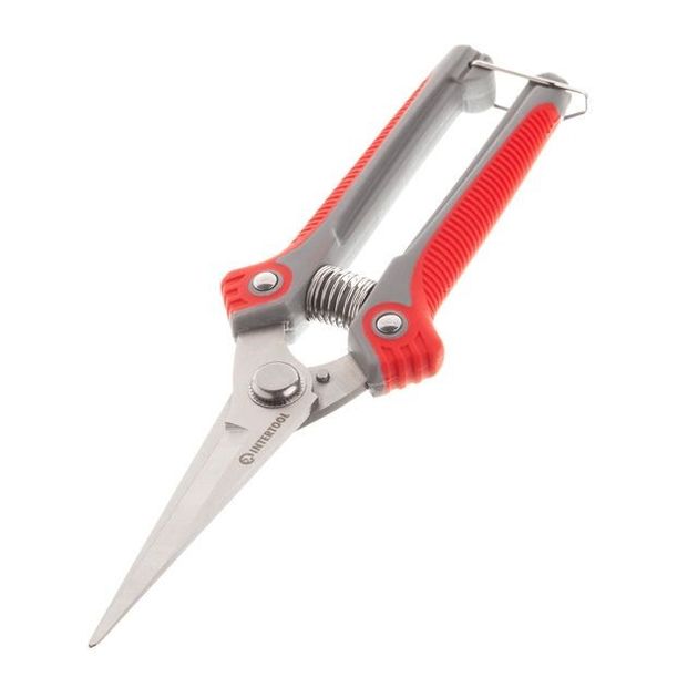Секатор для винограда 200 мм INTERTOOL FT-1015, фото , изображение 5 | SNABZHENIE.com.ua Секатор для винограда 200 мм INTERTOOL FT-1015, фото , изображение 5 | SNABZHENIE.com.ua