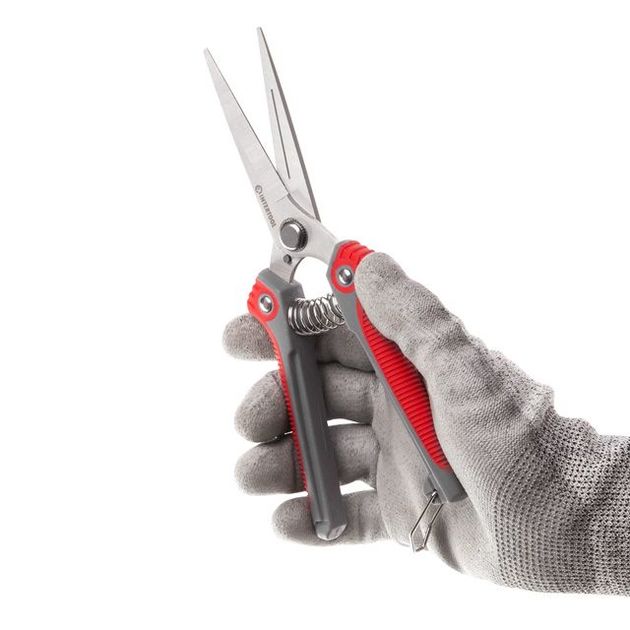 Секатор для винограда 200 мм INTERTOOL FT-1015, фото , изображение 6 | SNABZHENIE.com.ua Секатор для винограда 200 мм INTERTOOL FT-1015, фото , изображение 6 | SNABZHENIE.com.ua