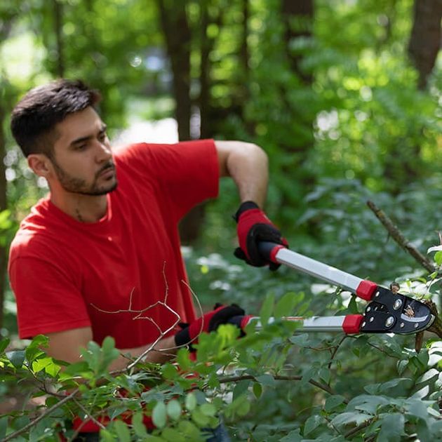 Сучкорез садовый INTERTOOL FT-1112, 730 мм для обрезки веток, фото , изображение 10 | SNABZHENIE.com.ua Сучкорез садовый INTERTOOL FT-1112, 730 мм для обрезки веток, фото , изображение 10 | SNABZHENIE.com.ua