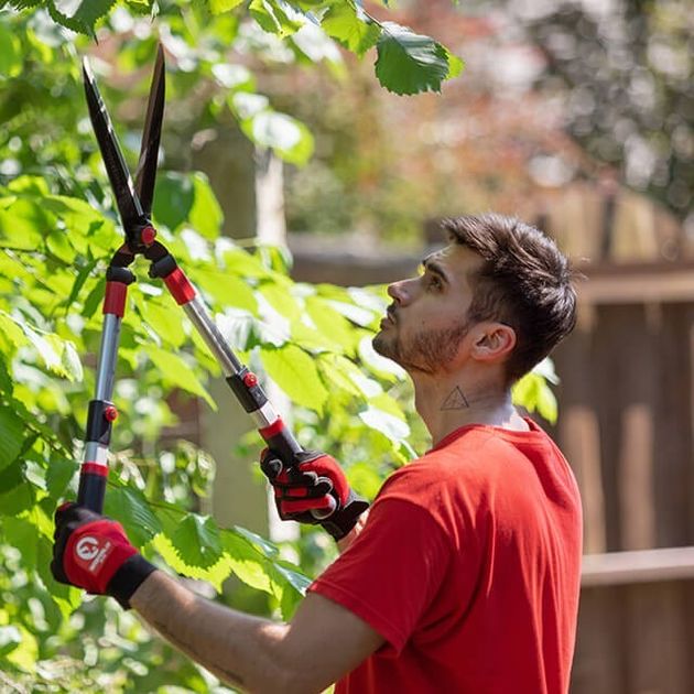 Садовые ножницы телескопические INTERTOOL FT-1117, фото , изображение 8 | SNABZHENIE.com.ua Садовые ножницы телескопические INTERTOOL FT-1117, фото , изображение 8 | SNABZHENIE.com.ua