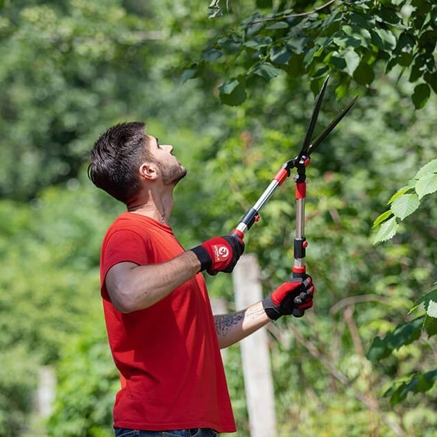 Садовые ножницы телескопические INTERTOOL FT-1117, фото , изображение 10 | SNABZHENIE.com.ua Садовые ножницы телескопические INTERTOOL FT-1117, фото , изображение 10 | SNABZHENIE.com.ua