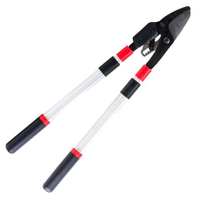 Сучкорез садовый INTERTOOL FT-1118 с храповым механизмом, телескоп., фото  | SNABZHENIE.com.ua