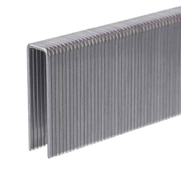 Скоба для степлера INTERTOOL PT-8238 38мм 10.8*1.40*1.60мм 10000шт/упак, фото , зображення 2 | SNABZHENIE.com.ua