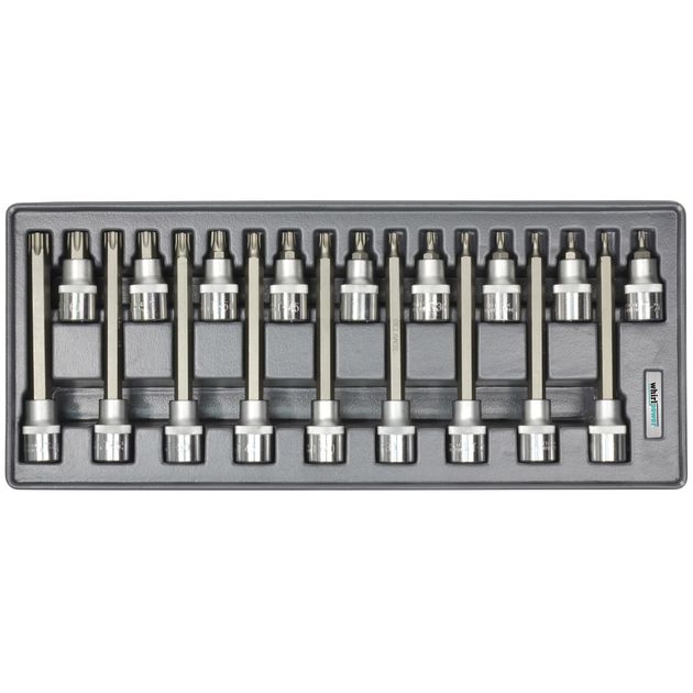 Набір головок Whirlpower Torx 1/2 Т20-Т60 18од з ложементом, фото  | SNABZHENIE.com.ua