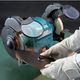 Makita Точильний верстат GB 602 W, фото , изображение 5 | SNABZHENIE.com.ua Makita Точильний верстат GB 602 W, фото , изображение 5 | SNABZHENIE.com.ua