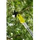 Ryobi Сучкоріз-висоторіз акумуляторний RY18PLA-0 18В ONE+ різ 32мм 3.8кг без АКБ та ЗП, фото , зображення 7 | SNABZHENIE.com.ua Ryobi Сучкоріз-висоторіз акумуляторний RY18PLA-0 18В ONE+ різ 32мм 3.8кг без АКБ та ЗП, фото , зображення 7 | SNABZHENIE.com.ua