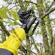 Karcher Акумуляторний секатор TLO 18-32 battery, 18В, 250 Нм, 3см, 2.41 кг, SOLO, фото , изображение 5 | SNABZHENIE.com.ua Karcher Акумуляторний секатор TLO 18-32 battery, 18В, 250 Нм, 3см, 2.41 кг, SOLO, фото , изображение 5 | SNABZHENIE.com.ua