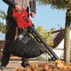 Einhell Пилосос садовий GC-EL 3024 E, 3000 Вт, 240 км/г, 40 л, 10,8 м.куб/хв, фото , изображение 3 | SNABZHENIE.com.ua Einhell Пилосос садовий GC-EL 3024 E, 3000 Вт, 240 км/г, 40 л, 10,8 м.куб/хв, фото , изображение 3 | SNABZHENIE.com.ua