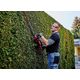 Einhell Кущоріз акумуляторний GE-CH 36/65 Li - Solo, 36В, 720мм, 4кг, без АКБ і ЗП, фото , изображение 3 | SNABZHENIE.com.ua Einhell Кущоріз акумуляторний GE-CH 36/65 Li - Solo, 36В, 720мм, 4кг, без АКБ і ЗП, фото , изображение 3 | SNABZHENIE.com.ua