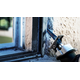 Bosch Полотно пиляльне для шабельної пилки Expert Window Demolition S 956 DHM, фото , изображение 3 | SNABZHENIE.com.ua