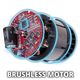 Einhell Аератор-скарифікатор акумуляторний GE-SC 36/35 Li - Solo 36В 35см безщітковий ножи 16шт 9.94кг (без АКБ та ЗП), фото , изображение 7 | SNABZHENIE.com.ua Einhell Аератор-скарифікатор акумуляторний GE-SC 36/35 Li - Solo 36В 35см безщітковий ножи 16шт 9.94кг (без АКБ та ЗП), фото , изображение 7 | SNABZHENIE.com.ua