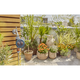 Таймер подачи воды Gardena Easy Plus, фото , зображення 5 | SNABZHENIE.com.ua Таймер подачи воды Gardena Easy Plus, фото , зображення 5 | SNABZHENIE.com.ua