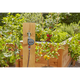 Таймер подачи воды Gardena Easy Plus, фото , зображення 10 | SNABZHENIE.com.ua Таймер подачи воды Gardena Easy Plus, фото , зображення 10 | SNABZHENIE.com.ua