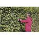 Einhell GC-EH 6055 электрический, фото , зображення 3 | SNABZHENIE.com.ua Einhell GC-EH 6055 электрический, фото , зображення 3 | SNABZHENIE.com.ua