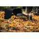 Fiskars Граблі Solid L для листя, 175см, 580г, фото , зображення 3 | SNABZHENIE.com.ua Fiskars Граблі Solid L для листя, 175см, 580г, фото , зображення 3 | SNABZHENIE.com.ua
