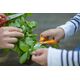 Fiskars Ножиці універсальні Classic 21 см, фото , изображение 8 | SNABZHENIE.com.ua Fiskars Ножиці універсальні Classic 21 см, фото , изображение 8 | SNABZHENIE.com.ua