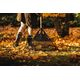 Fiskars Граблі для листя великі Classic FSC  XL, фото , зображення 3 | SNABZHENIE.com.ua Fiskars Граблі для листя великі Classic FSC  XL, фото , зображення 3 | SNABZHENIE.com.ua